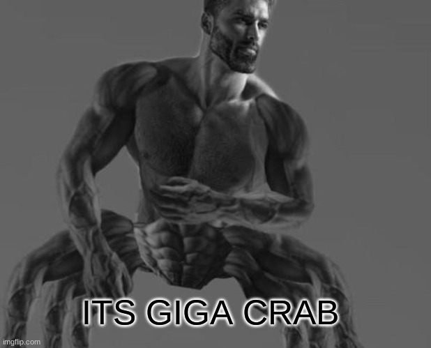 giga crab!! | ITS GIGA CRAB | image tagged in giga chad | made w/ Imgflip meme maker