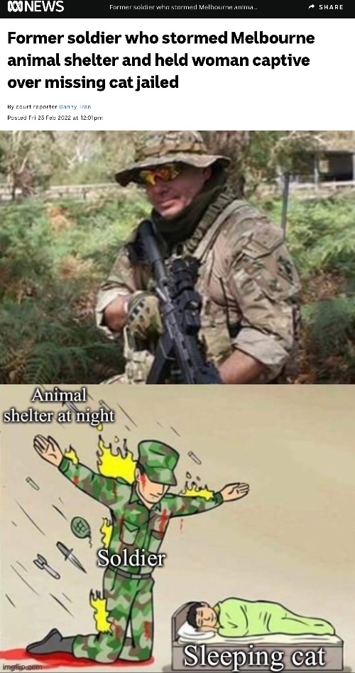 Breakout soldier | image tagged in soldier,cat,soldier protecting sleeping child,shelter,animal house | made w/ Imgflip meme maker