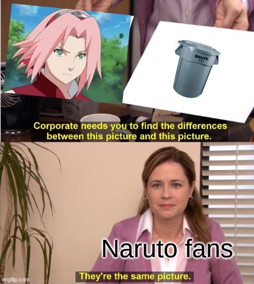 . | Naruto fans | image tagged in memes,they're the same picture | made w/ Imgflip meme maker