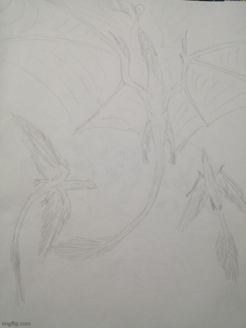 Just drew some wyverns chasing a dragon | image tagged in drawing,fantasy,creatures,dragon | made w/ Imgflip meme maker