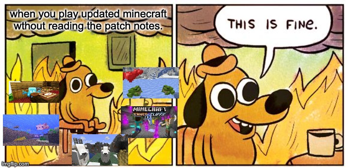 bruh | when you play updated minecraft wthout reading the patch notes. | image tagged in memes,this is fine | made w/ Imgflip meme maker