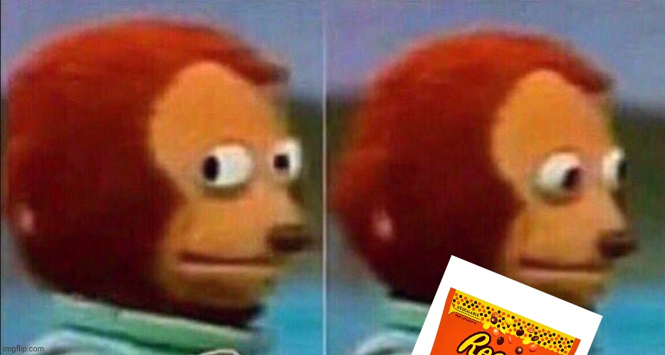 Monkey looking away | image tagged in monkey looking away | made w/ Imgflip meme maker
