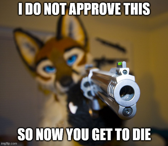 Furry with gun | I DO NOT APPROVE THIS SO NOW YOU GET TO DIE | image tagged in furry with gun | made w/ Imgflip meme maker
