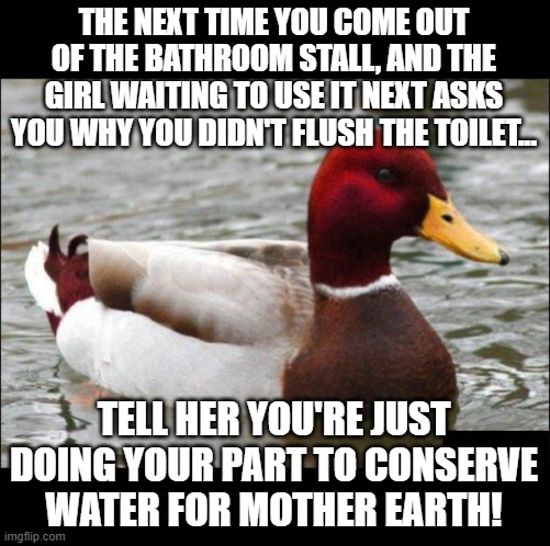 If It Helps The Planet... | THE NEXT TIME YOU COME OUT OF THE BATHROOM STALL, AND THE GIRL WAITING TO USE IT NEXT ASKS YOU WHY YOU DIDN'T FLUSH THE TOILET... TELL HER YOU'RE JUST DOING YOUR PART TO CONSERVE WATER FOR MOTHER EARTH! | image tagged in memes,malicious advice mallard,dark humor,wait what,water conservation,don't flush | made w/ Imgflip meme maker