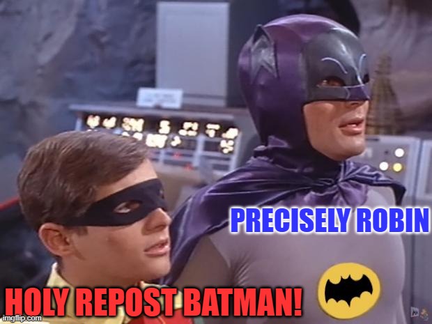 Batman and Robin | HOLY REPOST BATMAN! PRECISELY ROBIN | image tagged in batman and robin | made w/ Imgflip meme maker