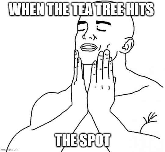 Feels Good Man | WHEN THE TEA TREE HITS; THE SPOT | image tagged in feels good man | made w/ Imgflip meme maker