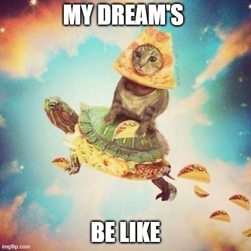 Space Pizza Cat Turtle Tacos | MY DREAM'S; BE LIKE | image tagged in space pizza cat turtle tacos | made w/ Imgflip meme maker