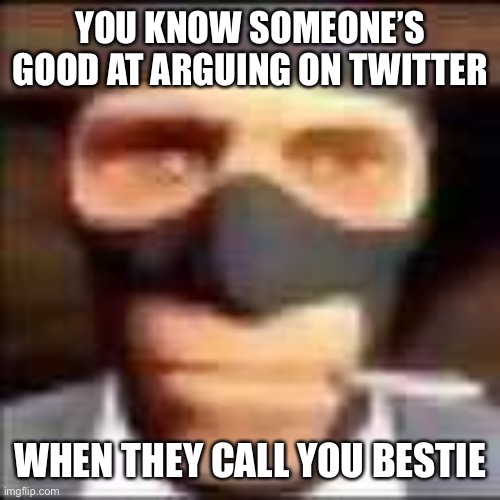 spi | YOU KNOW SOMEONE’S GOOD AT ARGUING ON TWITTER; WHEN THEY CALL YOU BESTIE | image tagged in spi | made w/ Imgflip meme maker