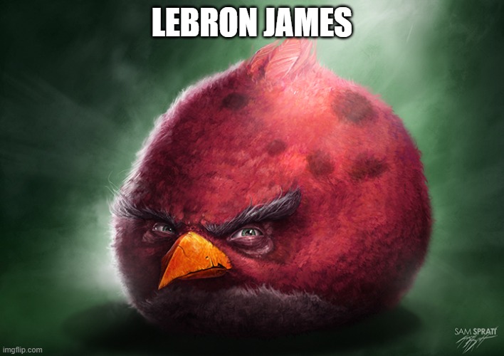 Real Terrence | LEBRON JAMES | image tagged in real terrence,racism,childhood obesity | made w/ Imgflip meme maker