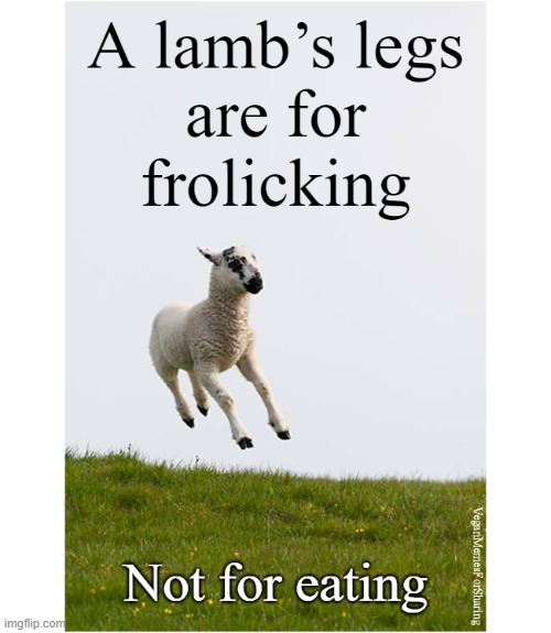 Animals Are Not Ours To Use | image tagged in vegan,veganism,lamb,bacon,hamburger,cheese | made w/ Imgflip meme maker