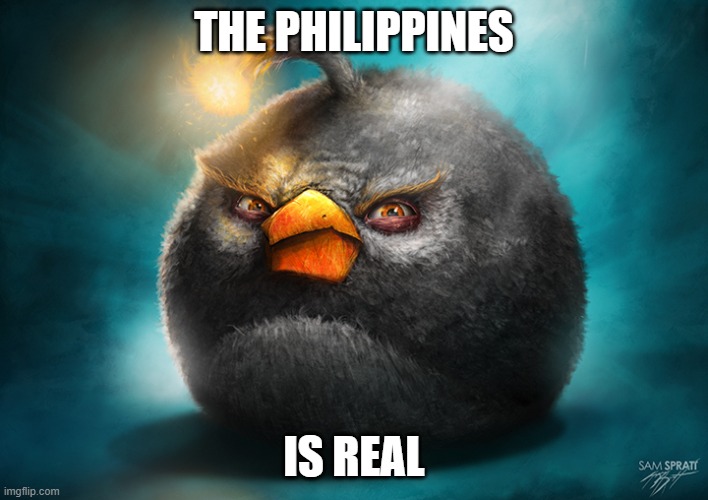 i wish it was fake | THE PHILIPPINES; IS REAL | image tagged in realistic bomb angry bird,terrorism,crabs,on god | made w/ Imgflip meme maker