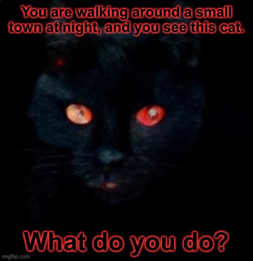 I used Craiyon to make this. | You are walking around a small town at night, and you see this cat. What do you do? | image tagged in sc or shadow cat,they are from a series of games i am making on scratch | made w/ Imgflip meme maker