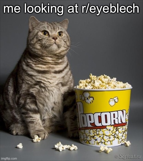 the streams still up and running huh | me looking at r/eyeblech | image tagged in cat eating popcorn | made w/ Imgflip meme maker