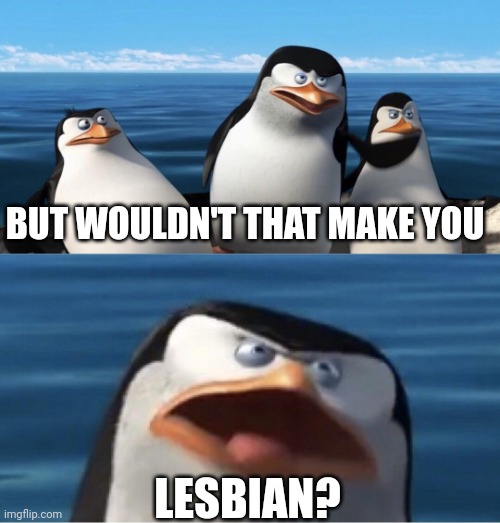 penguins of madagascar but wouldn't that make you | BUT WOULDN'T THAT MAKE YOU LESBIAN? | image tagged in penguins of madagascar but wouldn't that make you | made w/ Imgflip meme maker