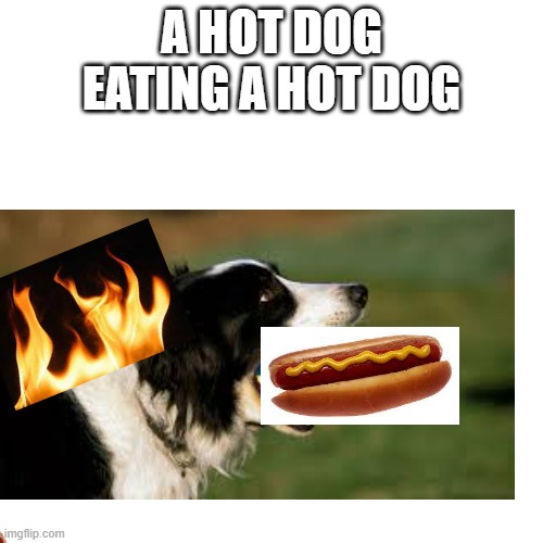 no context |  A HOT DOG EATING A HOT DOG | image tagged in stupid | made w/ Imgflip meme maker