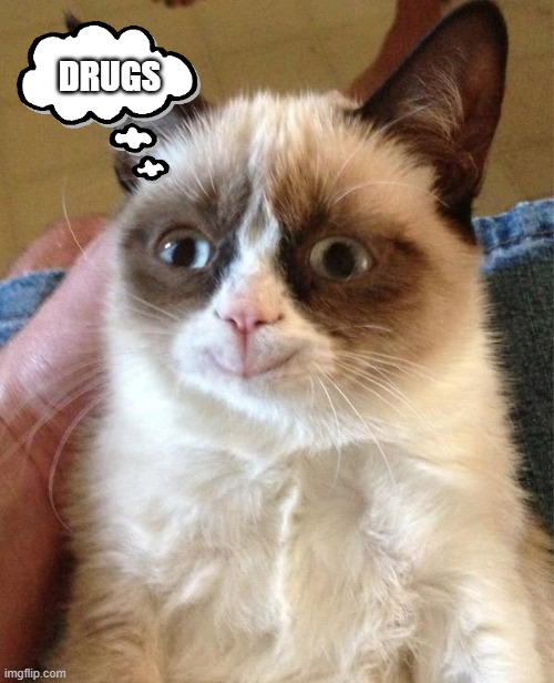 Grumpy Cat Happy Meme | DRUGS | image tagged in memes,grumpy cat happy,grumpy cat | made w/ Imgflip meme maker