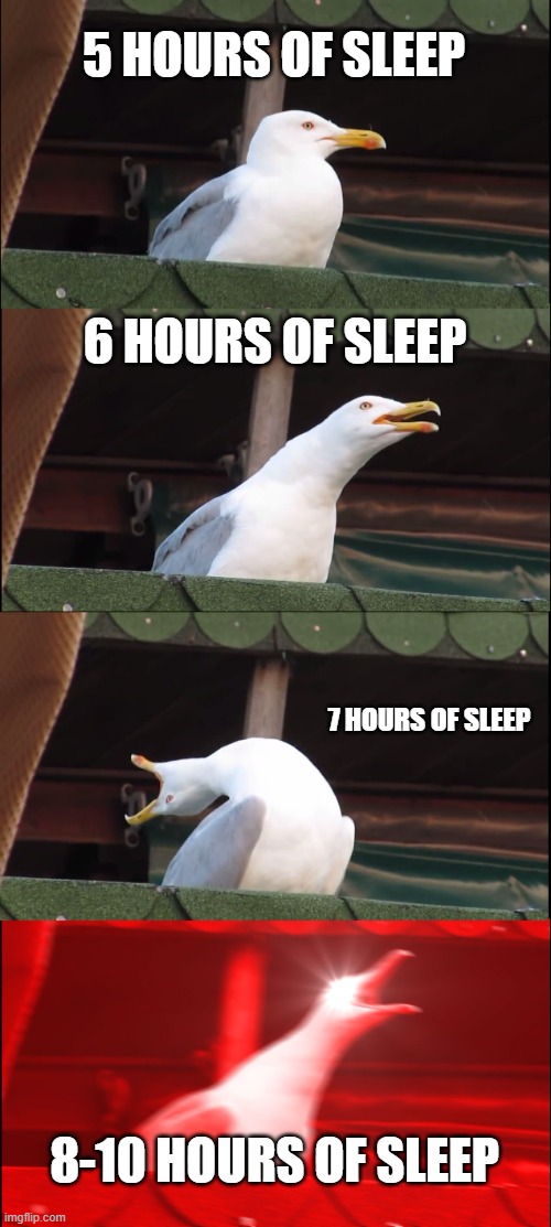 Inhaling Seagull Meme | 5 HOURS OF SLEEP; 6 HOURS OF SLEEP; 7 HOURS OF SLEEP; 8-10 HOURS OF SLEEP | image tagged in memes,inhaling seagull | made w/ Imgflip meme maker