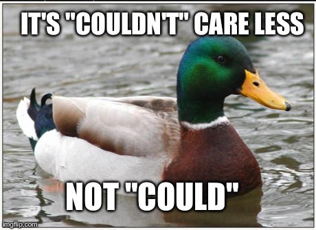 Actual Advice Mallard | IT'S "COULDN'T" CARE LESS NOT "COULD" | image tagged in memes,actual advice mallard,AdviceAnimals | made w/ Imgflip meme maker