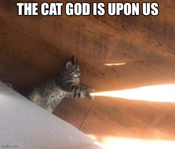 cat god | THE CAT GOD IS UPON US | image tagged in funny memes | made w/ Imgflip meme maker