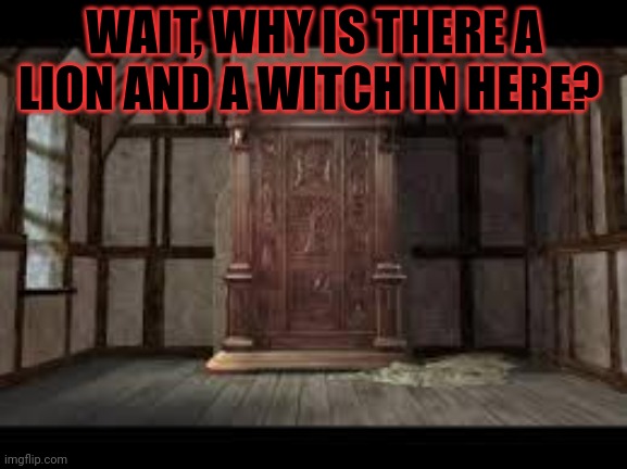 Narnia Wardrobe | WAIT, WHY IS THERE A LION AND A WITCH IN HERE? | image tagged in narnia wardrobe | made w/ Imgflip meme maker