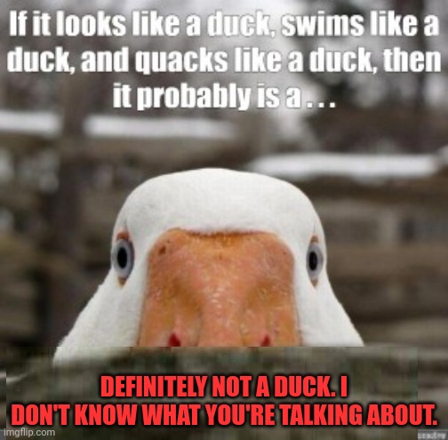 DEFINITELY NOT A DUCK. I DON'T KNOW WHAT YOU'RE TALKING ABOUT. | made w/ Imgflip meme maker