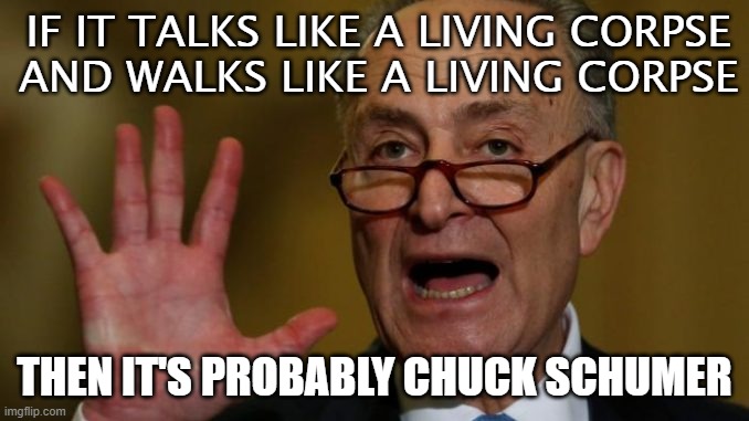 If it talks like a living corpse and walks like a living corpse, then it's probably Chuck Schumer | IF IT TALKS LIKE A LIVING CORPSE
AND WALKS LIKE A LIVING CORPSE; THEN IT'S PROBABLY CHUCK SCHUMER | image tagged in chuck schumer | made w/ Imgflip meme maker