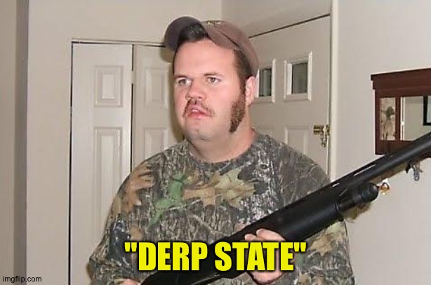 Redneck wonder | "DERP STATE" | image tagged in redneck wonder | made w/ Imgflip meme maker