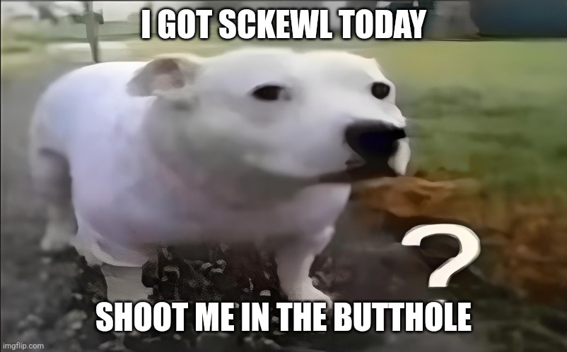 Huh Dog | I GOT SCKEWL TODAY; SHOOT ME IN THE BUTTHOLE | image tagged in huh dog | made w/ Imgflip meme maker