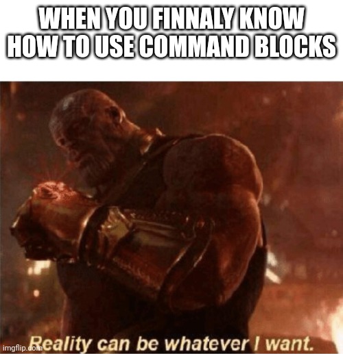 Reality can be whatever I want. | WHEN YOU FINNALY KNOW HOW TO USE COMMAND BLOCKS | image tagged in reality can be whatever i want,minecraft,funny,funny memes | made w/ Imgflip meme maker