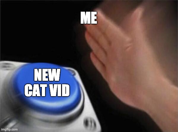 Blank Nut Button | ME; NEW CAT VID | image tagged in memes,blank nut button | made w/ Imgflip meme maker