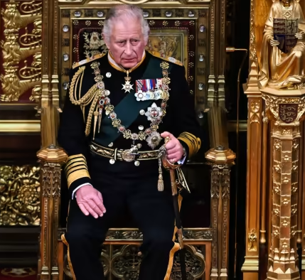 king Charles sitting on throne Blank Meme Template