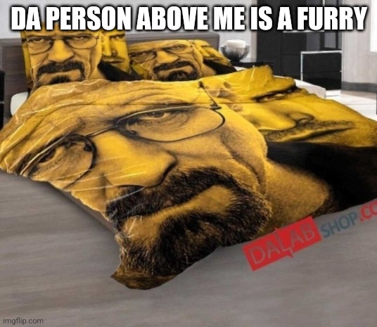 Breaking Bed | DA PERSON ABOVE ME IS A FURRY | image tagged in breaking bed | made w/ Imgflip meme maker