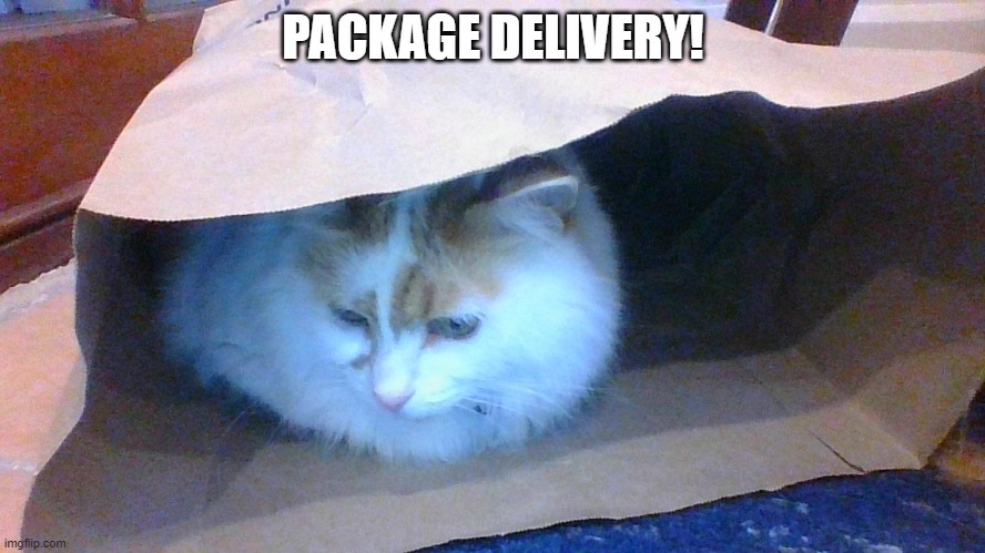 Cat in the bag! | PACKAGE DELIVERY! | image tagged in cat in the bag | made w/ Imgflip meme maker