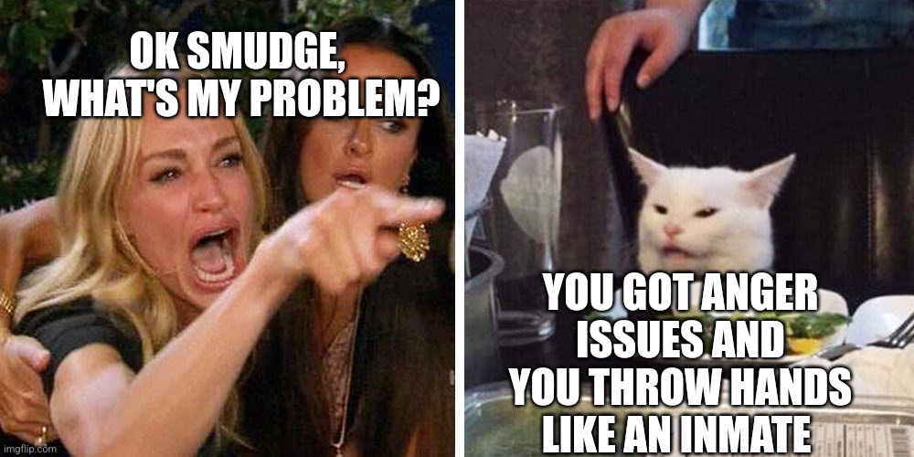 Smudge the cat | OK SMUDGE,  WHAT'S MY PROBLEM? YOU GOT ANGER ISSUES AND YOU THROW HANDS LIKE AN INMATE | image tagged in smudge the cat | made w/ Imgflip meme maker