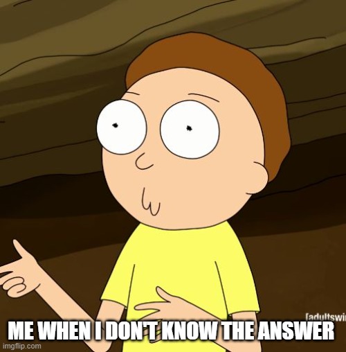 Do you even Rick and Morty | ME WHEN I DON'T KNOW THE ANSWER | image tagged in do you even rick and morty,funny meme | made w/ Imgflip meme maker