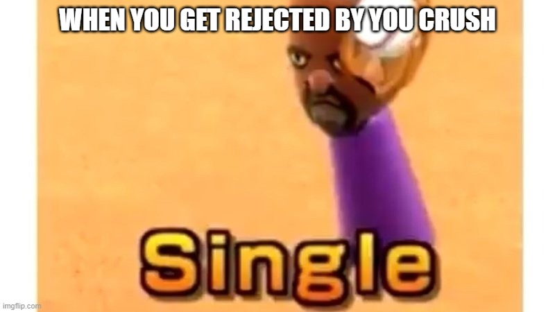 hard truth | WHEN YOU GET REJECTED BY YOU CRUSH | image tagged in wii sports single,it's hard to argue with his assessment | made w/ Imgflip meme maker