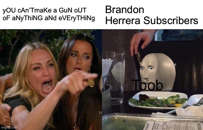 Toob | yOU cAn’TmaKe a GuN oUT oF aNyThiNG aNd eVEryTHiNg; Brandon Herrera Subscribers; Toob | image tagged in memes,woman yelling at cat | made w/ Imgflip meme maker
