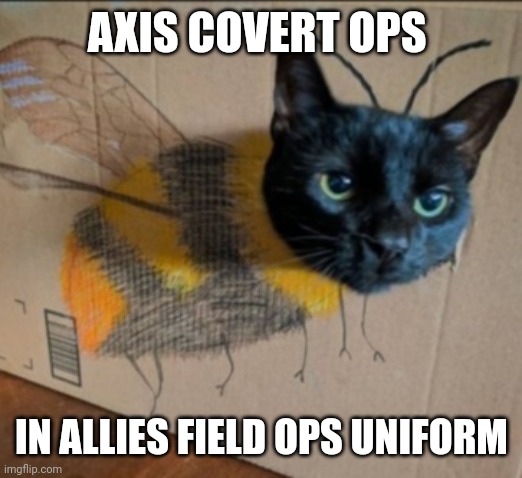 6t35dj.jpg