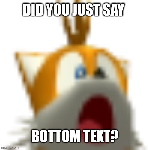 DID YOU JUST SAY; BOTTOM TEXT? | image tagged in tails,tails the fox,bottom text | made w/ Imgflip meme maker
