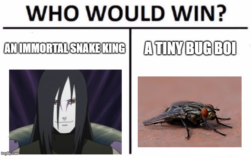 hm idk | AN IMMORTAL SNAKE KING; A TINY BUG BOI | image tagged in memes,who would win | made w/ Imgflip meme maker