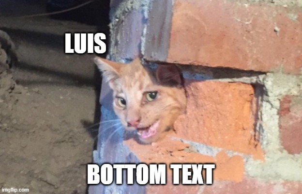Luis | LUIS; BOTTOM TEXT | image tagged in funny animals | made w/ Imgflip meme maker