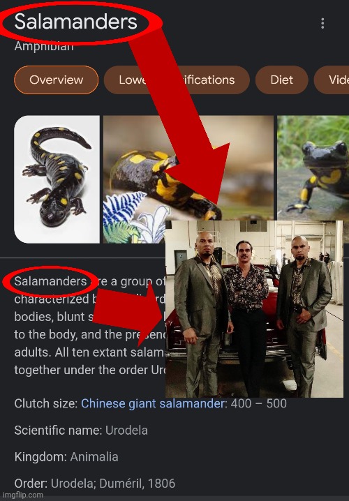 Salamanders | image tagged in breaking bad,better call saul | made w/ Imgflip meme maker
