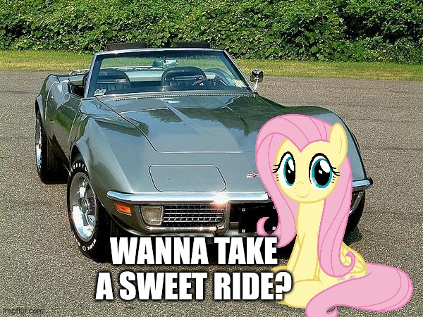 corvette | WANNA TAKE A SWEET RIDE? | image tagged in corvette,fluttershy,my little pony,cars,real life | made w/ Imgflip meme maker