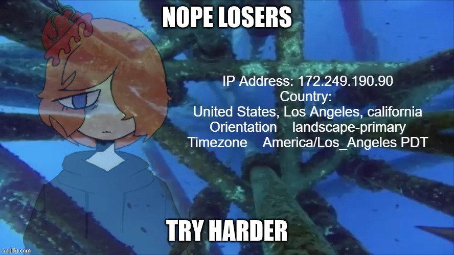 Atomato011’s actual IP address | NOPE LOSERS; TRY HARDER | image tagged in atomato011 s actual ip address | made w/ Imgflip meme maker