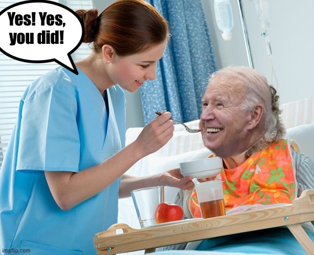 Biden Hospice | Yes! Yes, you did! | image tagged in biden hospice | made w/ Imgflip meme maker