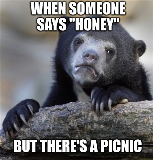 Honey badger wants some of that Honey! | WHEN SOMEONE SAYS "HONEY"; BUT THERE'S A PICNIC | image tagged in memes,confession bear | made w/ Imgflip meme maker