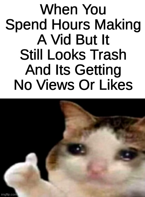 Its True Tho. | When You Spend Hours Making A Vid But It Still Looks Trash And Its Getting No Views Or Likes | image tagged in sad cat thumbs up white spacing | made w/ Imgflip meme maker