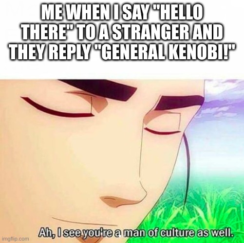 Hello there | ME WHEN I SAY "HELLO THERE" TO A STRANGER AND THEY REPLY "GENERAL KENOBI!" | image tagged in general kenobi hello there | made w/ Imgflip meme maker
