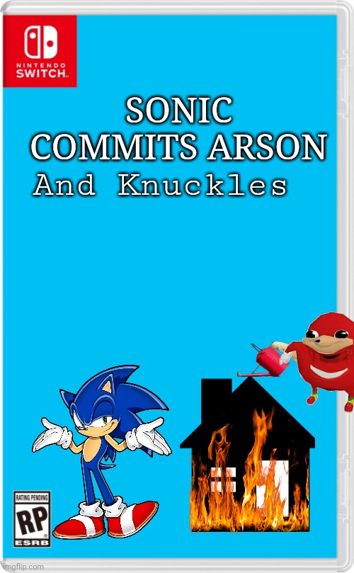 Pre order for a free copy of Tails Flamethrower | And Knuckles; SONIC COMMITS ARSON | image tagged in nintendo switch cartridge case | made w/ Imgflip meme maker