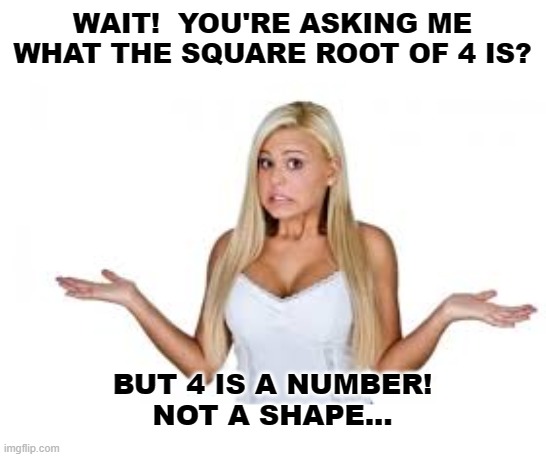 Blondes Are Smarter Than You Think | WAIT!  YOU'RE ASKING ME WHAT THE SQUARE ROOT OF 4 IS? BUT 4 IS A NUMBER!
NOT A SHAPE... | image tagged in dumb blonde,memes,humor,funny,lol,mathematics | made w/ Imgflip meme maker